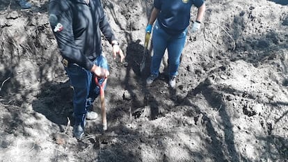 Una fosa en un predio conocido como Los Negritos, en Michoacán.