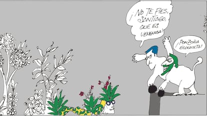 Peridis: Plantas venenosas