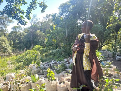 An Ogiek herbalist, Mrs. Leboo, demonstrates the characteristics of the different species available in the herbarium at the Ogiek Cultural Center.