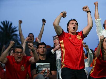 Rivera celebra un gol de la selecci&oacute; espanyola a l&#039;Eurocopa. 