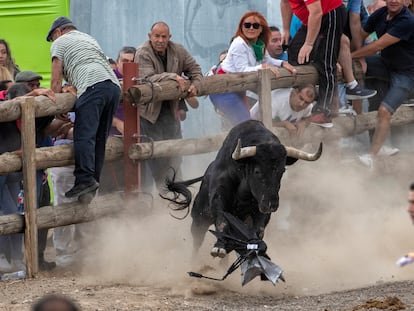 El toro salta sobre un paraguas este martes en Tordesillas.