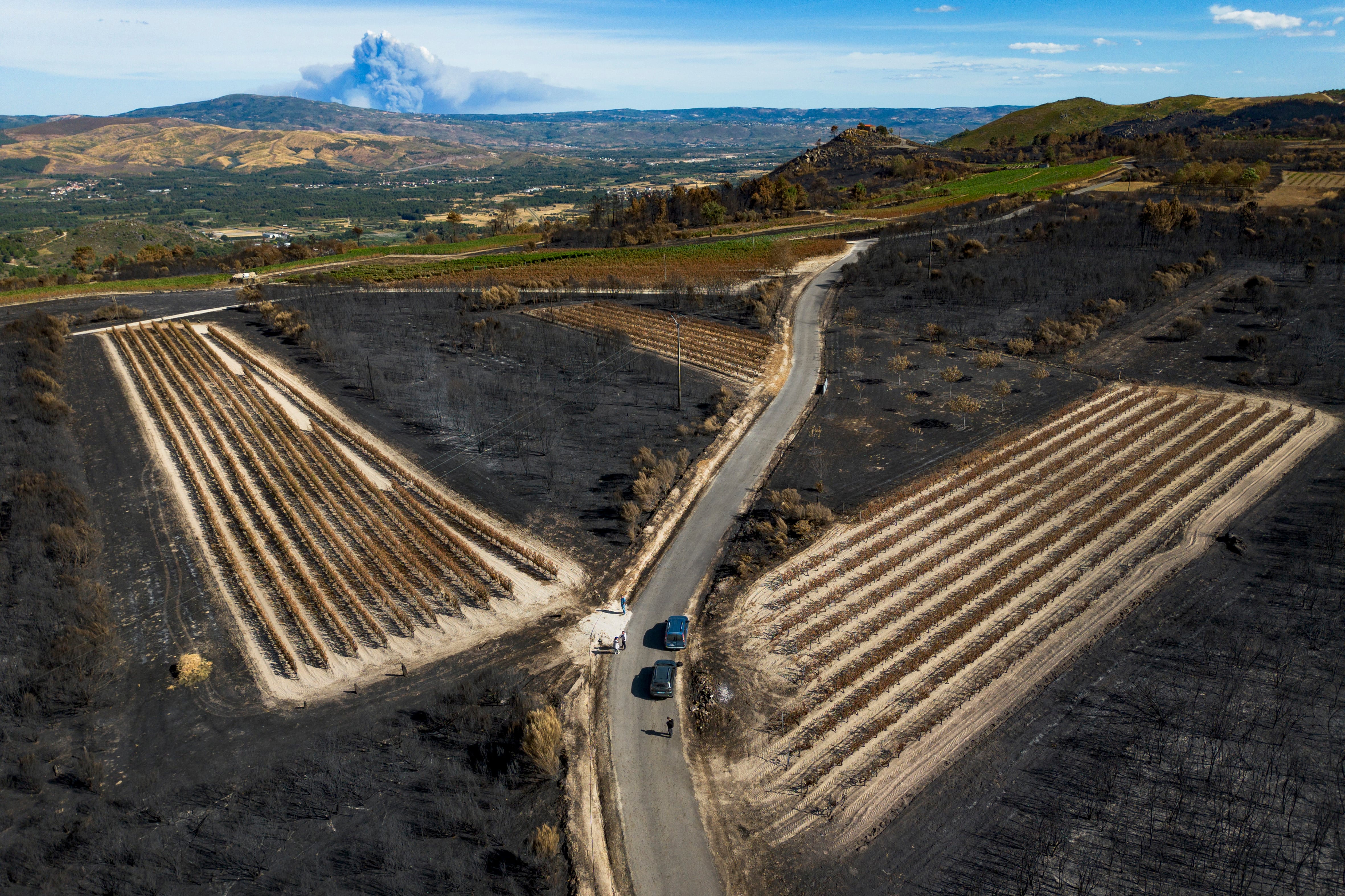 Terrenos quemados por los incendios en Ourense (Galicia), en agosto de este año.