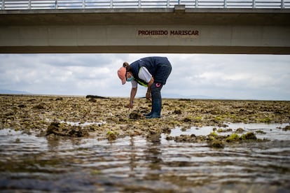 Mariscadora en la playa de O Vao, en la Illa de Arousa (Pontevedra).