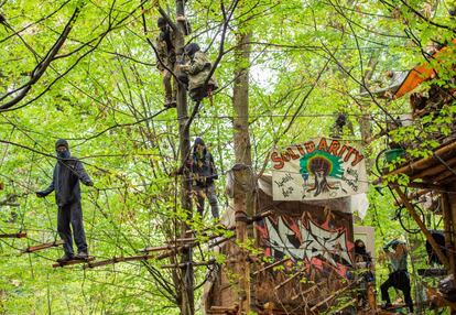 Activistas ambientales en una casa árbol en el bosque de Hambacher Forst (Alemania).