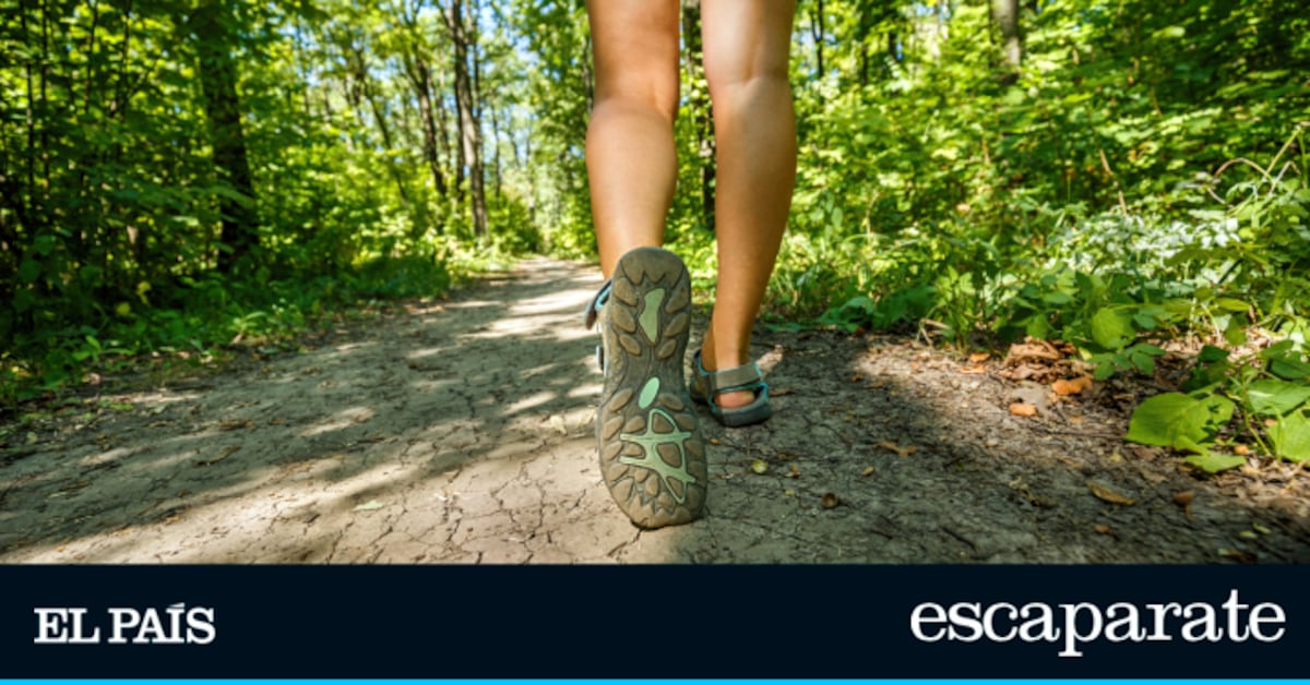 Las sandalias Skechers para caminar y hacer turismo durante horas están rebajadas casi un 50%