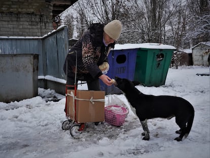 Una anciana da de comer el jueves a un perro, poco después de recoger una ración de pan en un puesto de reparto de ayuda humanitaria en la localidad ucrania de  Kupiansk.