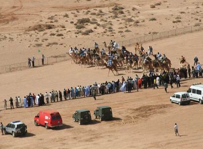 Carrera de dromedarios en el circuito de El Aaiún el sábado.