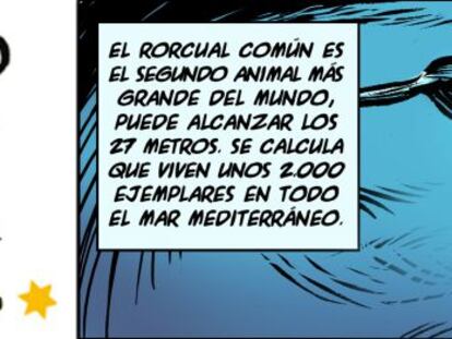 Ramón