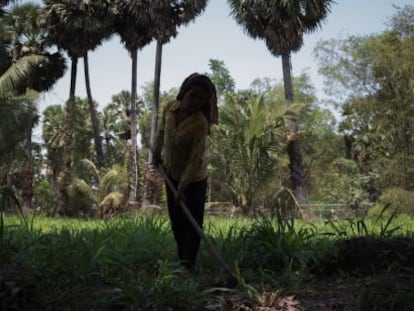 Ey, una mujer camboyana, trabaja junto a su casa en la provincia de Tboung Khmom.