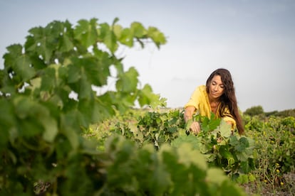 Ana Hernández, de la bodega en Movimiento, entre sus viñedos.