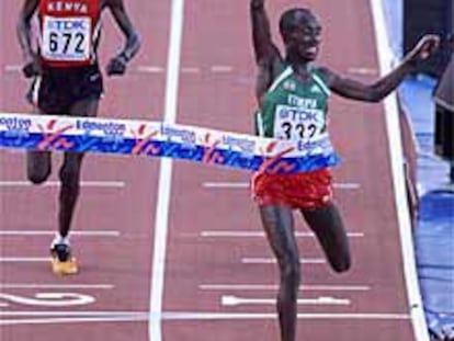 El etíope Geza Abera alza sus brazos al imponerse en el <b></b><i>sprint</i> final al keniano Simon Biwott.