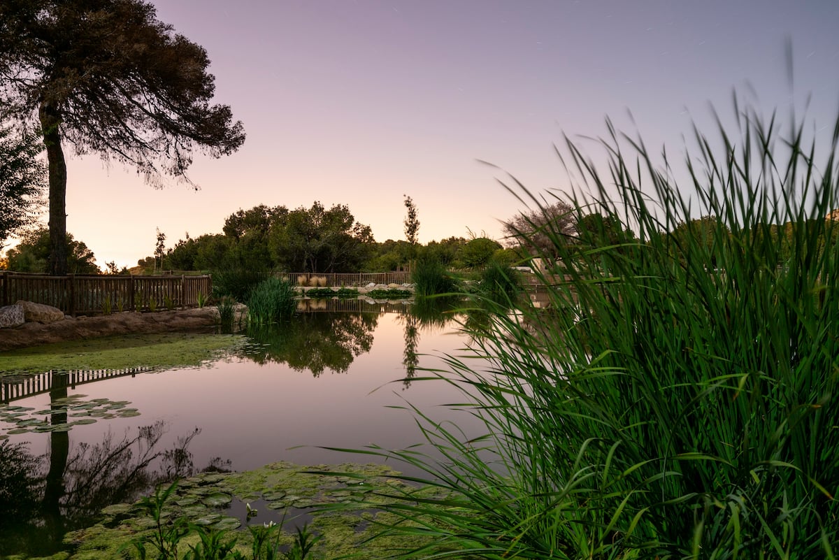 Lagunas ‘mágicas’ que dan aliento a los ecosistemas