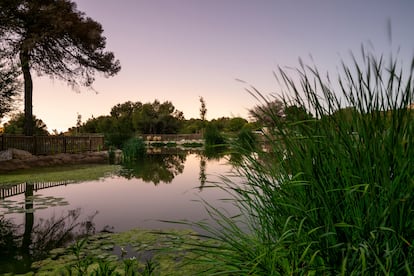 En el parque El Recorral, en Rojales (Alicante), se han creado cinco lagunas artificiales conectadas a una depuradora cercana.