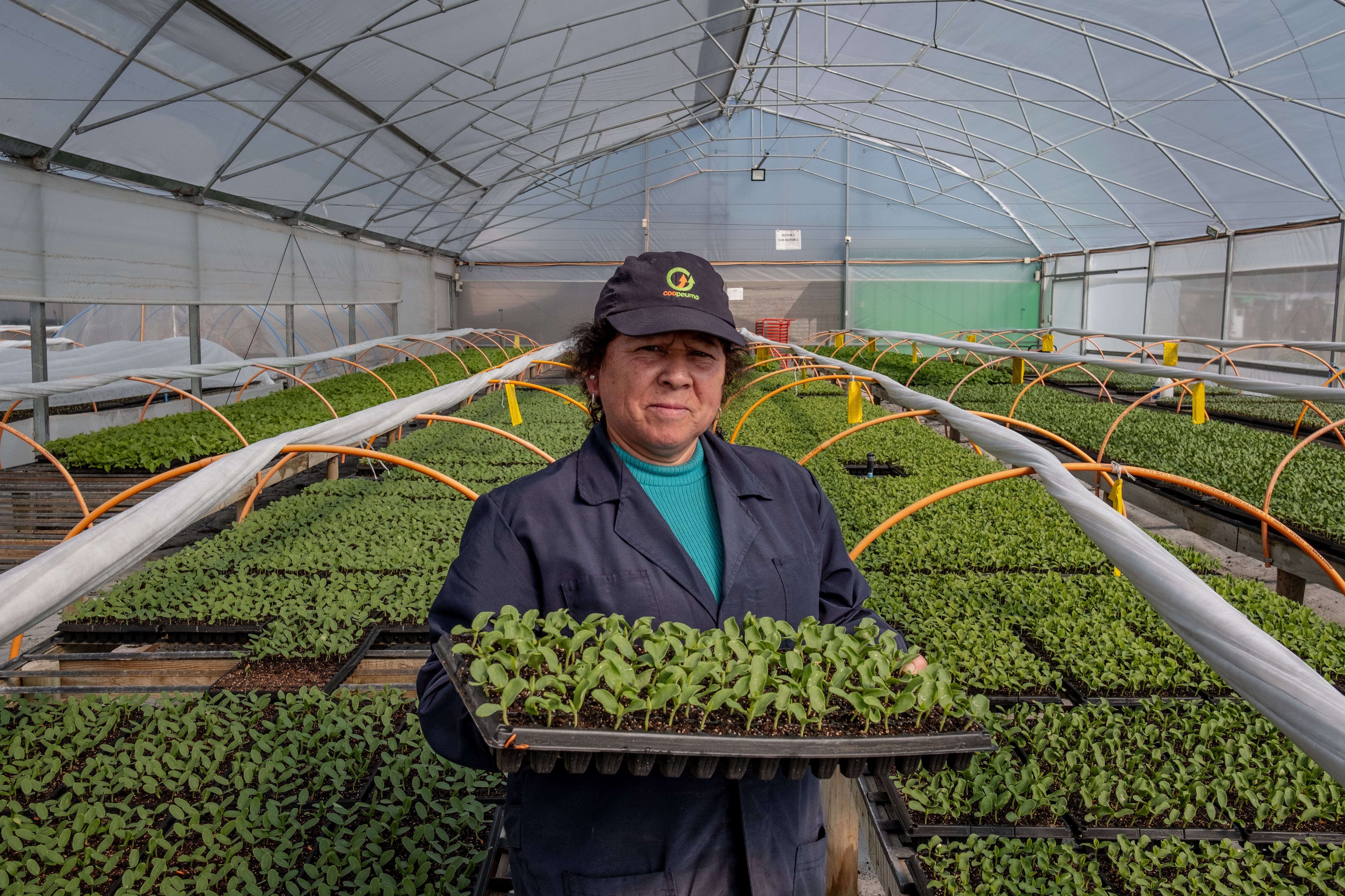 Año internacional de las cooperativas 2025: Chile refuerza su compromiso con este modelo económico de desarrollo