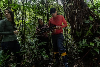 Dos estudiantes que aspiran a un puesto en el proyecto Gigante aprendían a utilizar un resistógrafo durante un trabajo de campo en la reserva de Ducke, el 19 de mayo.