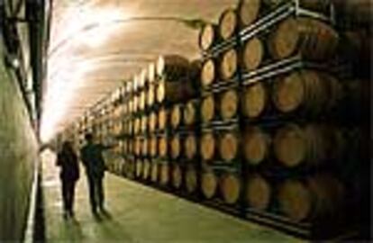 Instalaciones de Bodegas Torres en Vilafranca del Penedès.