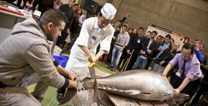 Imagen de un at&uacute;n de 163 kilos en la XXVII edici&oacute;n del Sal&oacute;n de Gourmets, en Madrid. 