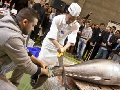 Imagen de un at&uacute;n de 163 kilos en la XXVII edici&oacute;n del Sal&oacute;n de Gourmets, en Madrid. 