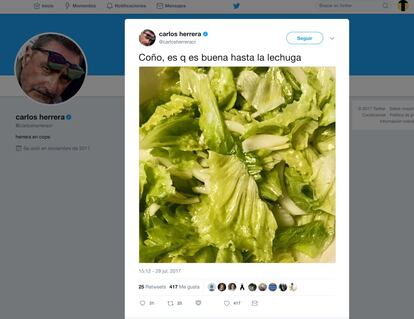 ¡Eh! Algún toque hay que darle a la industria. ¿Cuánto tiempo lleva la lechuga de la fruterías y los supermercados sin saber a lechuga? Ya está bien
