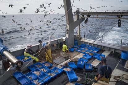 Este diario acompañó al 'Bona Mar 2' en su jornada de pesca del 20 de septiembre: volvieron a puerto con cerca de 350 kilos de pescado y 20 kilos de basura.