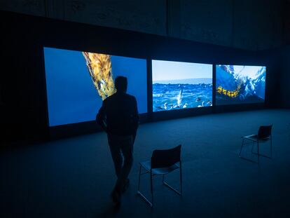 Obra de la muestra 'La Tierra es plana', del cineasta y artista contemporáneo John Akomfrah, en el Centro Andaluz de Arte Contemporáneo (CAAC).