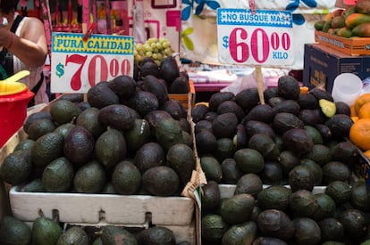 El precio del aguacate se ha disparado en México y el mundo.