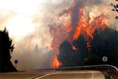 Incendio del pinar de Montegrande, en el municipio orensano de Bande.