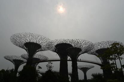 El sol trata de asomar por la neblina de contaminación que cubre el cielo sobre las esculturas del 'Garden by de Bay' en Singapur.