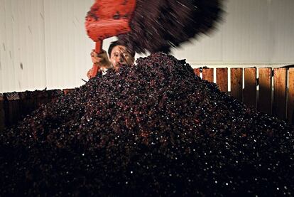 A worker at Juan Gil winery in Murcia, in the Jumilla appellation of origin.