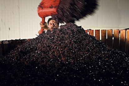 A worker at Juan Gil winery in Murcia, in the Jumilla appellation of origin.