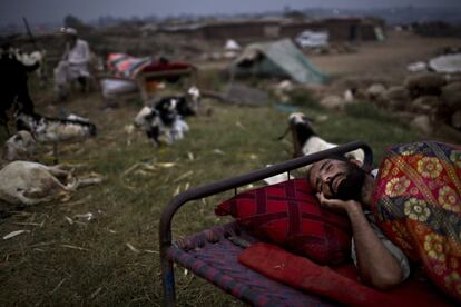 Un comerciante de ganado de Pakistán, duerme en el lado junto a los animales que quiere vender para la celebración de la festividad musulmana de Eid al-Adha, o "Fiesta del Sacrificio", en las afueras de Islamabad, Pakistán.