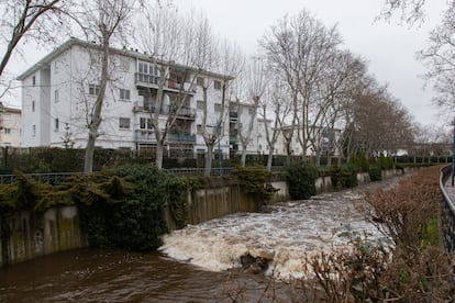 El río Guadarrama a su paso por Collado Villalba, el 7 de marzo.