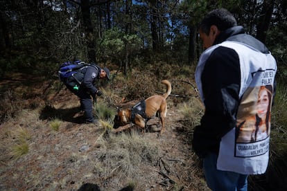 Una brigada de búsqueda de personas desaparecidas en el Ajusco, en Ciudad de México, el 28 de marzo.