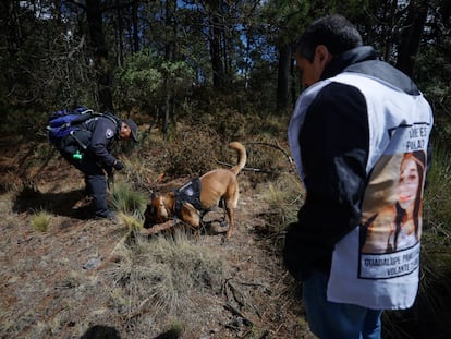 Una brigada busca personas que extrañen a las personas que habían estado desaparecidas en el arte, en la Ciudad de México, el 28 de marzo.