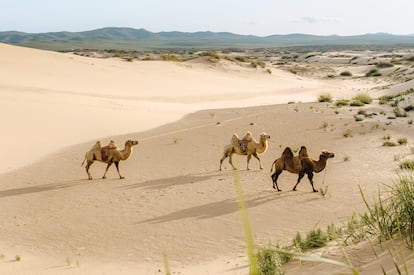 La mayor parte de Mongolia se caracteriza por un clima semiárido similar en precipitaciones al de la España mediterránea.