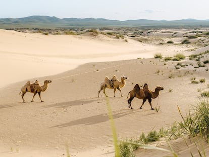 La mayor parte de Mongolia se caracteriza por un clima semiárido similar en precipitaciones al de la España mediterránea.