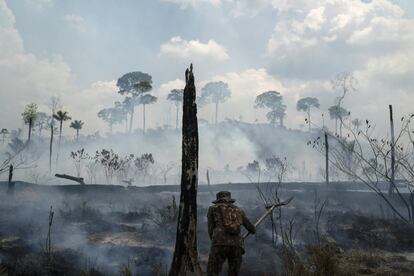 Un soldado brasileño apaga el fuego forestal en Nova Fronteira (Brasil), el 3 de septiembre.