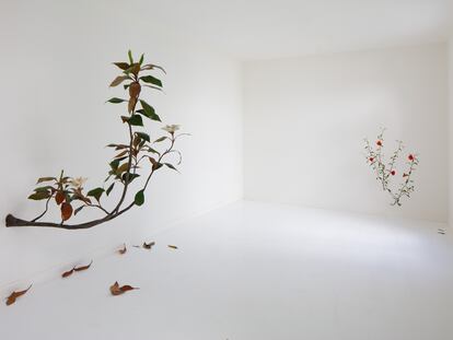 Una pareja de plantas, de los jardines de Barragán y los versos de García Lorca, en la exposición 'Granada granada', del artista Álvaro Urbano en la galería Travesía Cuatro, en Ciudad de México.