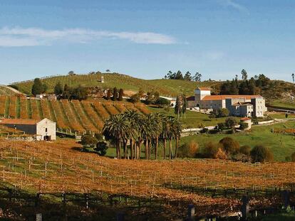 Pazo de Baión de la cooperativa Condes de Albarei, en el valle del Salnés (Pontevedra).