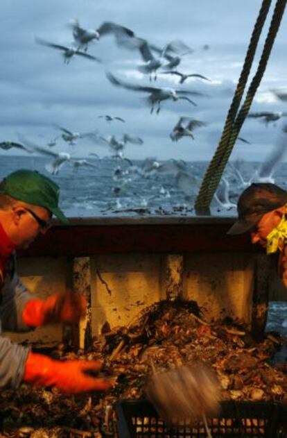 Selección de pescado a bordo de un barco francés.