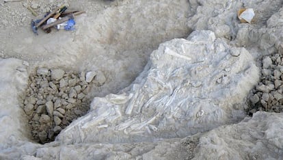 Extracción de bloques con cientos de huesos en el yacimiento de Caudete.