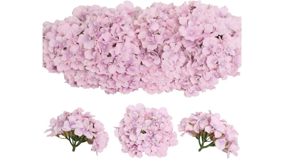 Hortensias,