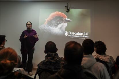 ?ngelica Daz hace una presentacin a los participantes de la buscatn. Al da de hoy se estima una poblacin de 108 individuos de esta ave. 