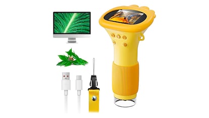 Presentes por 8 anos em fundo branco.