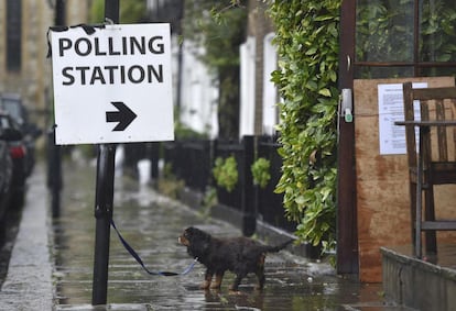 Un perro espera a su dueño en el exterior de un colegio electoral en Reino Unido