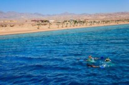 Pr&aacute;ctica de snorkel en &Aacute;qaba, Jordania.