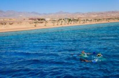 Práctica de snorkel en Áqaba, Jordania.