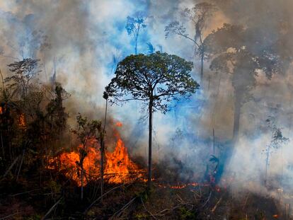 Un incendio ilegal en una reserva medioambiental de la Amazonia, al sur de Novo Progresso (Pará) a mediados de agosto.