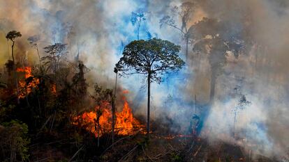 Un incendio ilegal en una reserva medioambiental de la Amazonia, al sur de Novo Progresso (Pará) a mediados de agosto.