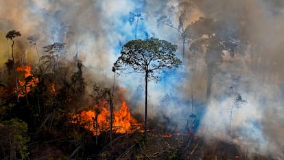 Un incendio ilegal en una reserva medioambiental de la Amazonia, al sur de Novo Progresso (Pará) a mediados de agosto.